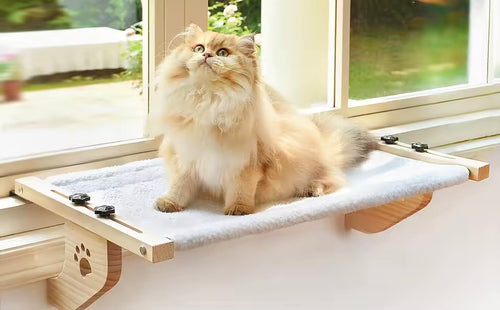 Haus Whisker™ Window Perch