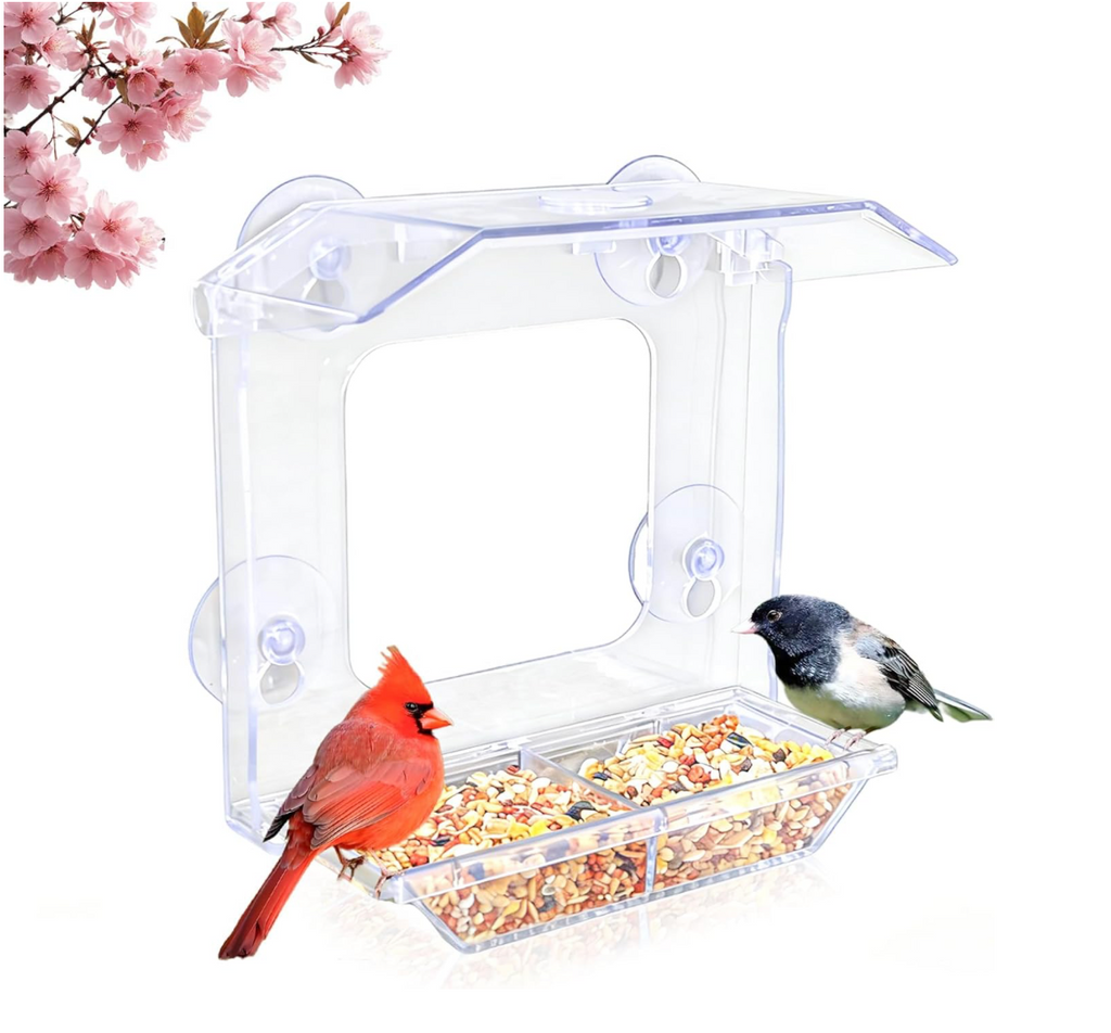 The Perch Companion — A Window Bird Feeder for Curious Cats