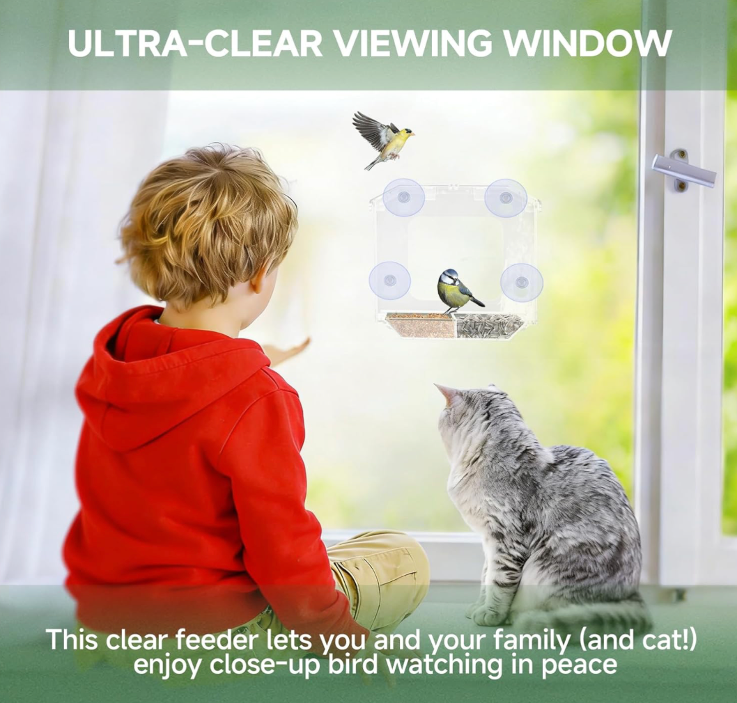The Perch Companion — A Window Bird Feeder for Curious Cats
