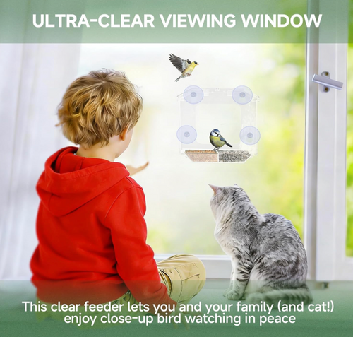 The Perch Companion — A Window Bird Feeder for Curious Cats