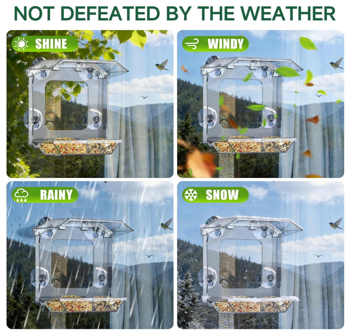 The Perch Companion — A Window Bird Feeder for Curious Cats